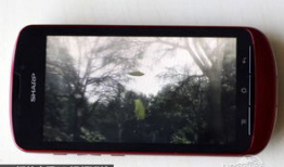 3d效果视频短片,探索3D效果视频短片的奇幻之旅